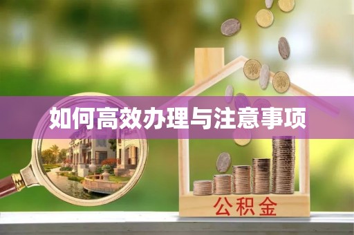 礁溪如何高效办理与注意事项