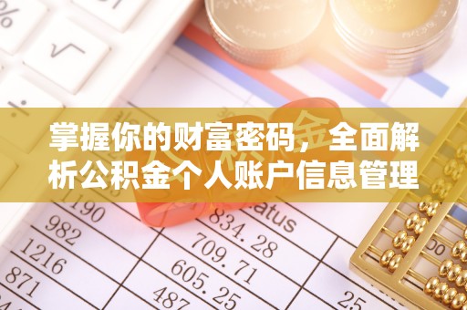 礁溪掌握你的财富密码，全面解析公积金个人账户信息管理与优化