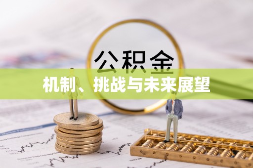 礁溪机制、挑战与未来展望
